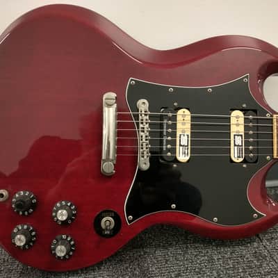 Edwards E-SG early 2000s image 1