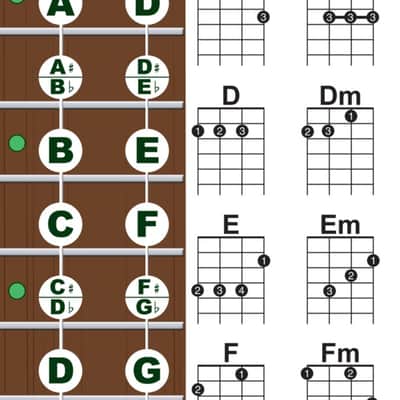 Beginner Ukulele Chords & Notes Poster GREEN for Soprano Concert Tenor Uke by A New Song Music Easy image 2