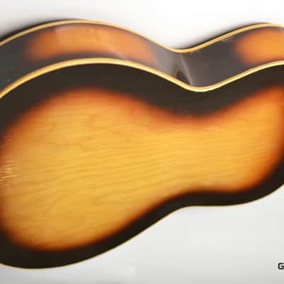 Lignatone Guitar image 6