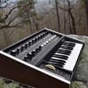1978 Micromoog (Fully Serviced)
