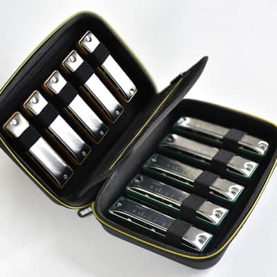 Seydel SAFE CASE for 10 Diatonic Harmonicas. New with Full Warranty! image 1