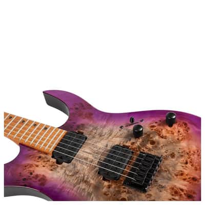 Spira S-450 TPP Double Cutaway Roasted Poplar Flamed Maple Top Canadian Roasted Maple Neck 6-String Electric Guitar image 5