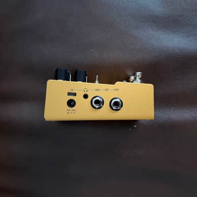 Walrus Audio Mako  ACS1 Amp + Cab Simulator 2021 - 2024 - Gold image 5
