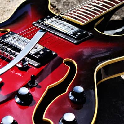 HARPTONE 420-R 1969 - Sam Koontz. Ultra Rare. Collectible. Only built for one year. image 10