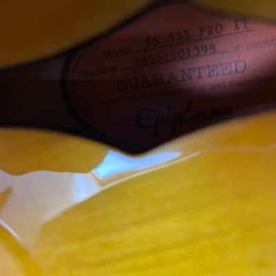 Epiphone Limited Custom Shop Hand Crafted ES-335 PRO image 23