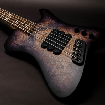 Dingwall D-Roc Custom 5 2025 - Trans Black Burst image 6