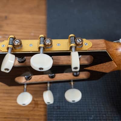 2016 Kris Barnett, Cedar Ziricote, Hybrid Fan Lattice Braced, Elevated Fingerboard , Soundport image 11