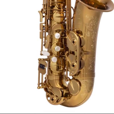Selmer Limited Edition Selmer Paris Signature New York City Model Alto Saxophone 2026 - Elkhart Dark Lacquer image 22