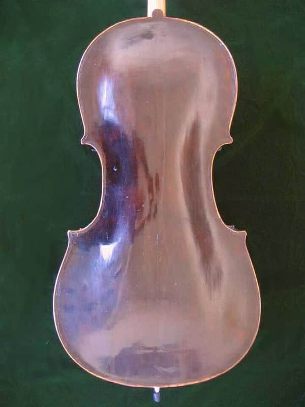 Franz Diener Cello c. 1826 image 1