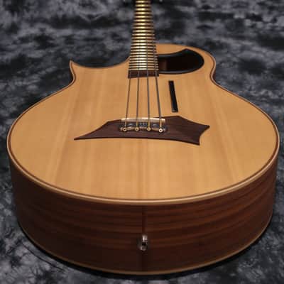 Warwick Alien Acoustic Bass Left Handed image 1