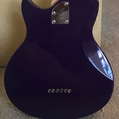 Washburn Hannah Montana electric Purple! image 5