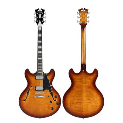 D'Angelico DAPDCDITBNS Premier DC- Dark Iced Tea Burst image 4