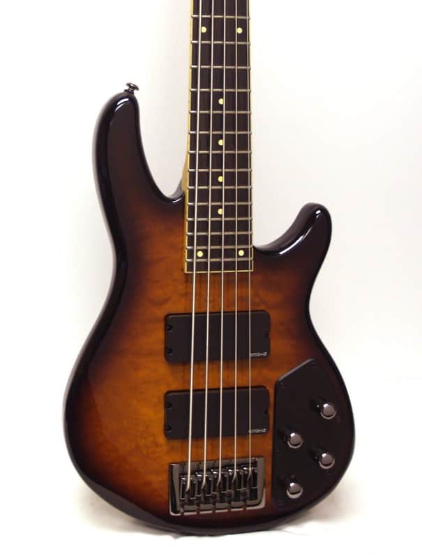 Schecter Guitar Research Raiden Elite 5-String Electric Bass