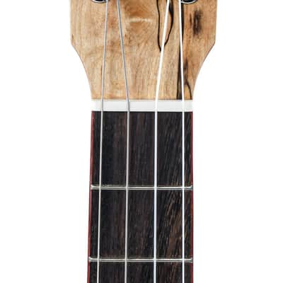Cordoba 24B Spalted Maple Spruce Baritone Ukulele image 2