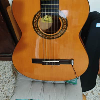 Chitarra Flamenca Alvaro N 60 image 2