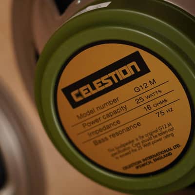 Divided By Thirteen 4x12" Speaker Cabinet Owned by Maroon 5 #57466 image 13