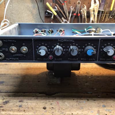 Peavey deuce chassis with reverb tank image 2