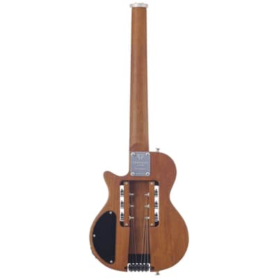 EG-1 Deluxe-Gold image 2