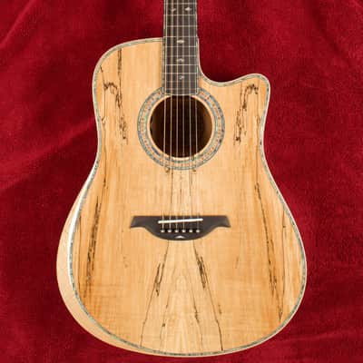 B.C. Rich Acoustic Cutaway 6 -String - Spalted Maple - W/Matrix Infinity VT & Hardcase image 1