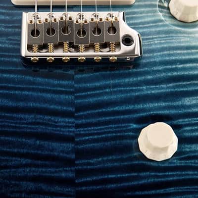 Paul Reed Smith Private Stock Custom 24 Walking Zombie Iceberg Crossfade image 5