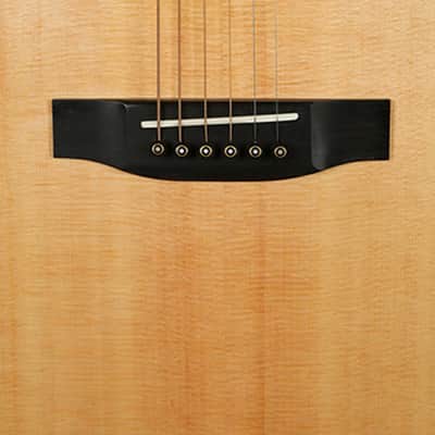 Corona IDEA DM-1000 All Solid Wood Sustain Block Dreadnought Acoustic Guitar image 10