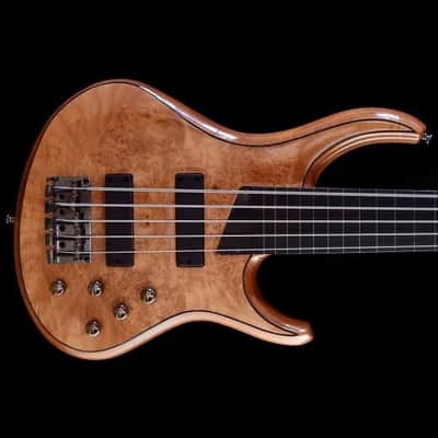 Kingston Z5 Ebonol Fretless - V2  - Natural Gloss image 1