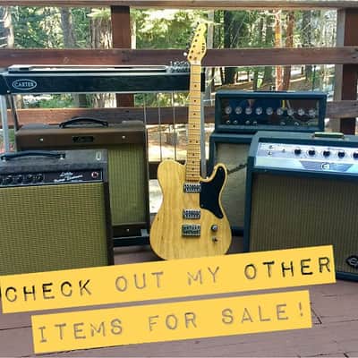 1963 Epiphone Pathfinder EA-28RVT (AKA Gibson GA-19RVT Falcon) image 25
