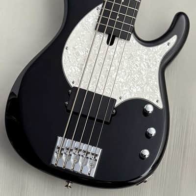 Modulus FB5 -Black-【USED】 [GSB019] image 3