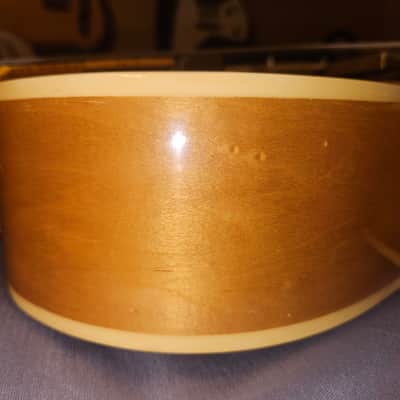 Ibanez 2461 Single Cutaway Laminated Archtop 1976 - 1977 - Natural image 8