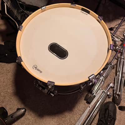 Pearl Vision E Kit Conversion with Stands image 16
