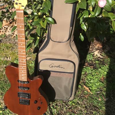 Godin Exit 22 S USA / Canada Mahogany Electric Guitar W/Bag image 1