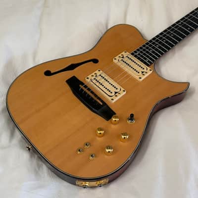 Carvin AE-185 Acoustic/Electric "Hybrid" Semi-Hollow Body - Spruce Top - Made in USA - Free Pro Setup image 1