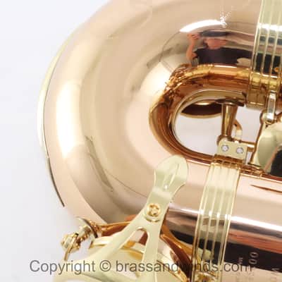 Yanagisawa Model AWO20 Elite Alto Saxophone SN 398596 SUPERB image 9