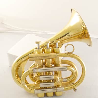 Brasspire Pocket Trumpet P7: Maybe the best pocket trumpet out there? image 3
