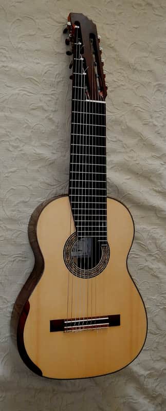 Heikki Rousu 11 string Alto guitar image 1