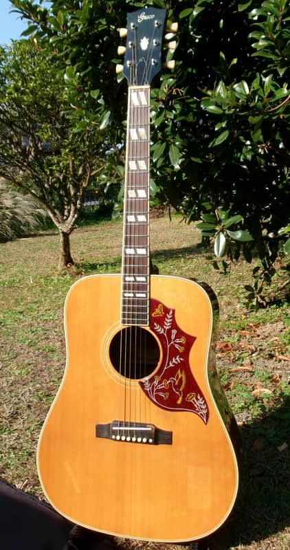 1975 Greco 202 Hummingbird Model MIJ by Fujigen Gakki image 1