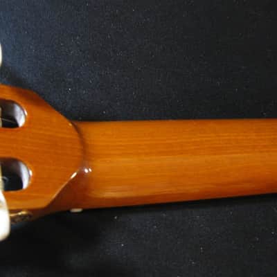 Alvarez Yairi CY116 Burled Mahogany/Cedar Top image 10