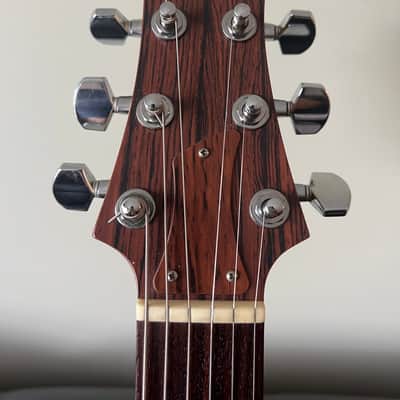 Dan Armstrong Ampeg ADA 1998 1st. year Reissue Collector Grade image 17