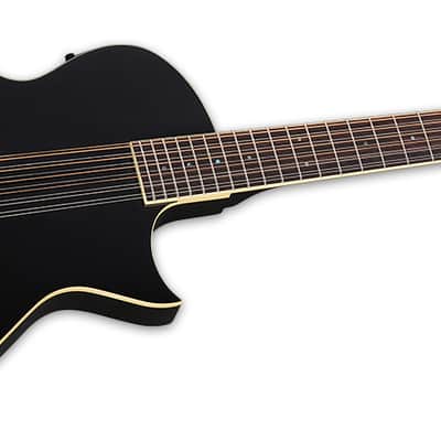 ESP LTD TL-12 12-String Black BLK Thinline B-Stock Acoustic Electric Guitar TL12 AE image 2