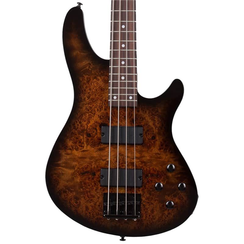 Schecter C-4 Standard Series Tobacco Burl image 1
