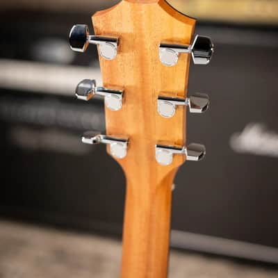 Taylor 214ce Special Edition Grand Auditorium Acoustic/Electric Guitar - Honeyburst with Gig Bag image 6