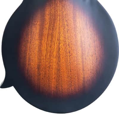 Washburn M108SWK Mandolin w/Case (B Stock) image 2