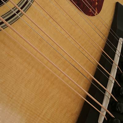 Taylor 556ce Guitar #1101226030 image 5