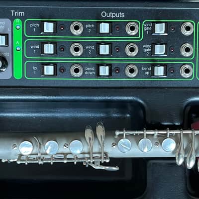 Working Computone Lyricon MIDI Driver, Control Voltage, Eurorack, EWI image 4