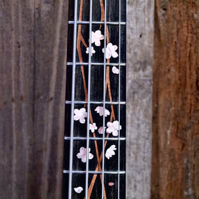 Momose MJ-Shidarezakura SP'23/E SKP Bass Guitar - 2023 image 13