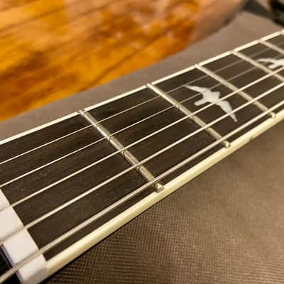 RARE PRS SE Mark Holcomb Signature - Limited Edition Satin Gray - UK Exclusive image 8