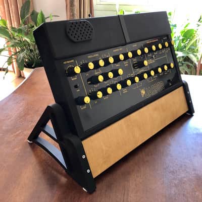 Jasper Synth DP WASP clone with 3D printed enclosure and desktop stand image 9