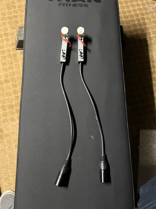 Ontriggers XLR Input 2024 - Standard image 1