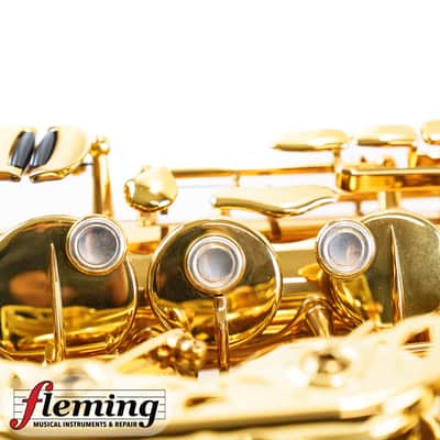 NEW Eastman EAS850 Rue Saint-Georges Professional Alto Saxophone (Competition Demo / Open Box Model) image 18