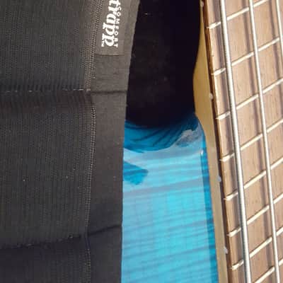 Dingwall Zebra-1 6 String Electric Bass Sheldon Dingwall 2002 - Whalepool Blue image 13